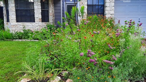 pink flowers and orange/red ones in narrow bed against driveway