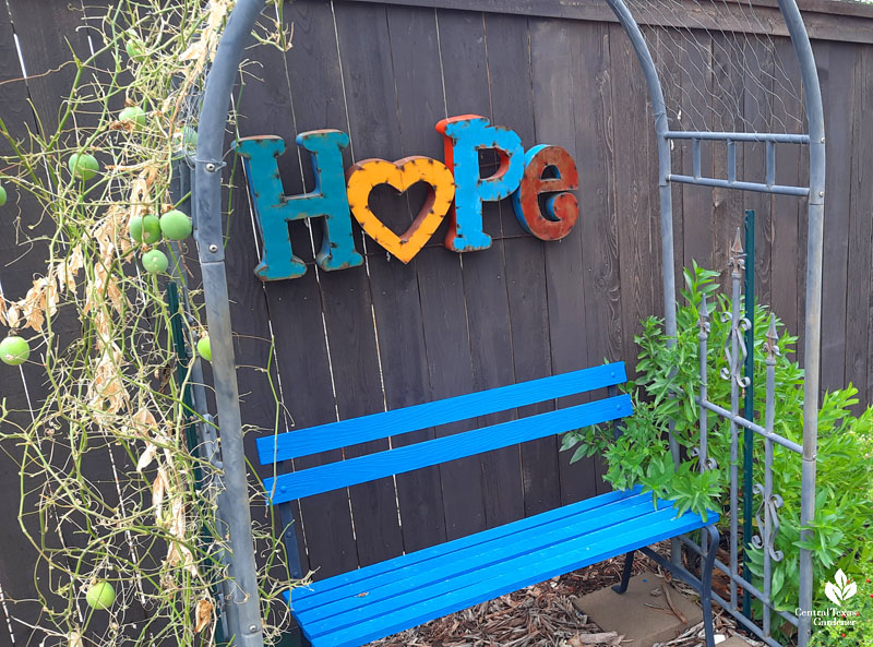 arbor with blue bench and sign that spells out HOPE covered with vine 