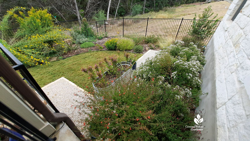 red and white flowers in raised bed to garden 