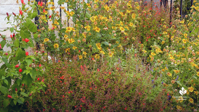 red flowers and yellow flowers on plants against gate 