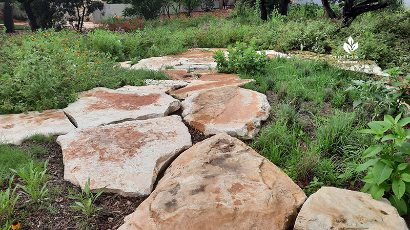 short grasses and flowers against stone path 