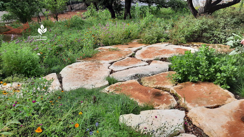 short clumping grasses against colorful flowers and stone path 