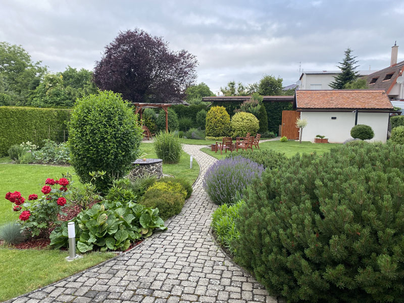 gorgeous garden path and shaped evergreens with colorful flowers 