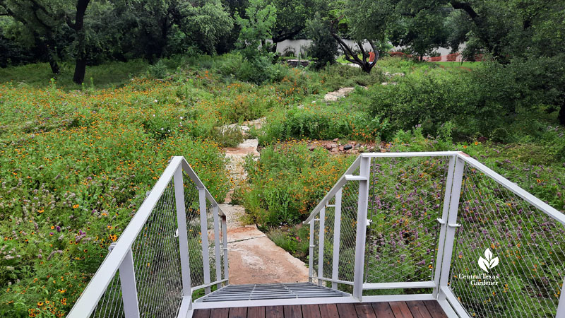 stair steps to stone path and wildflowers 