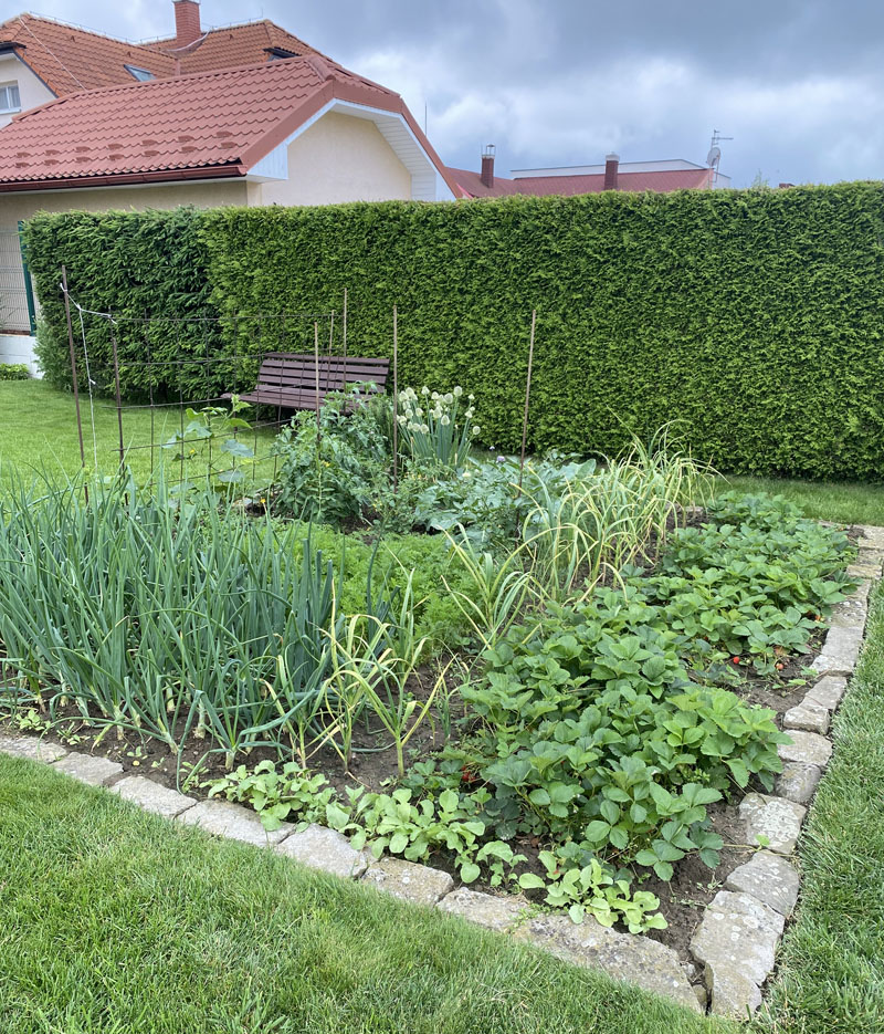 pretty stone edged vegetable bed 