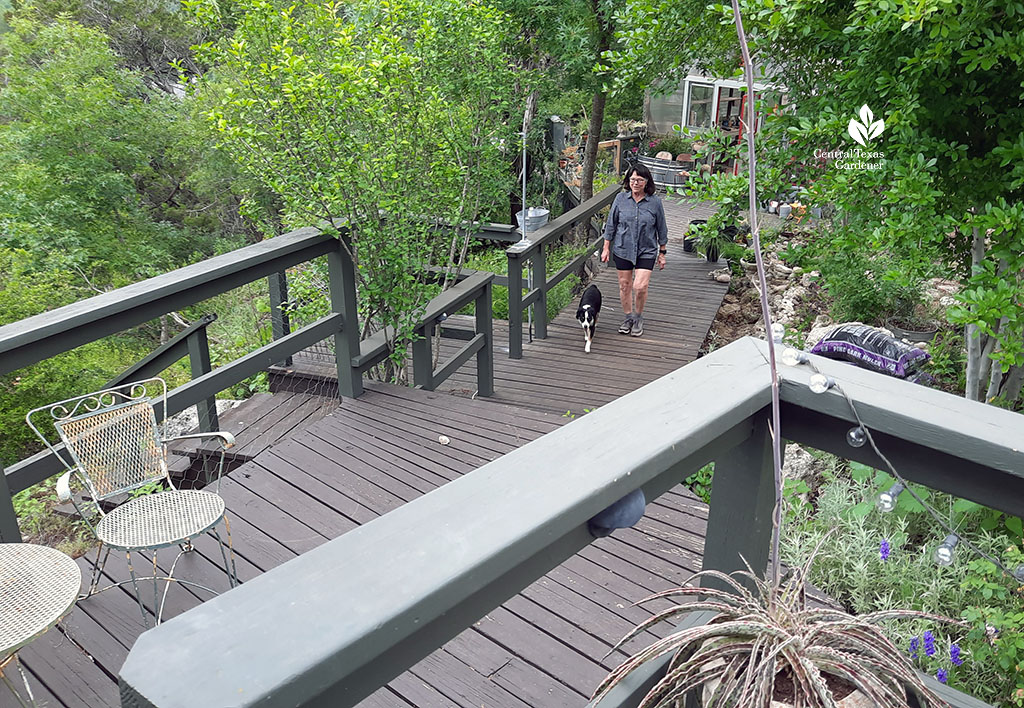 woman and dog coming up staircase