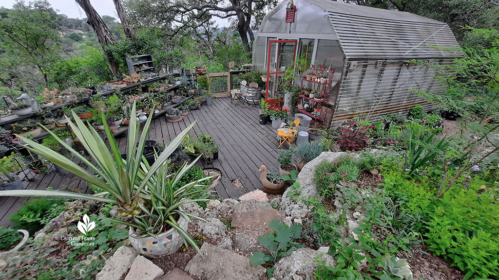 greenhouse beyond rock bordered garden bed and succulent plant containers 