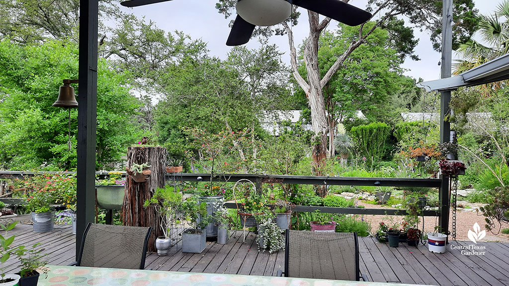 wooden deck and vintage containers view to garden