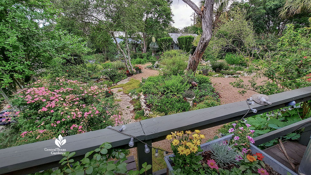 gravel paths around island bed gardens