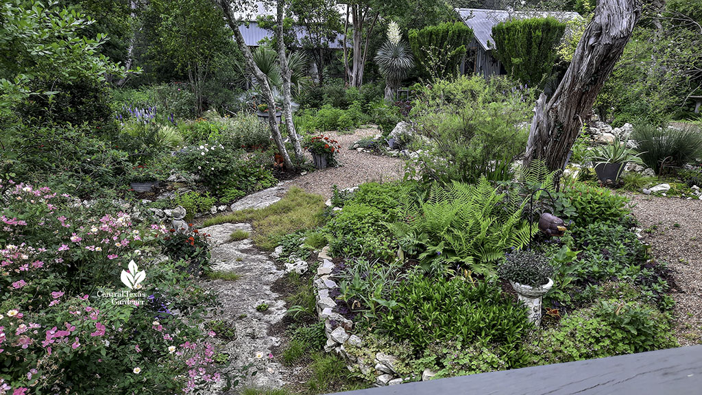 gravel and stone paths with roses and island beds 