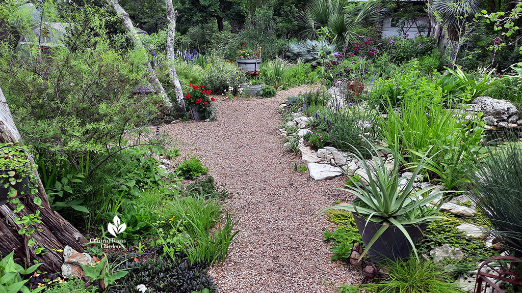 pea gravel path bordered with plants and containers