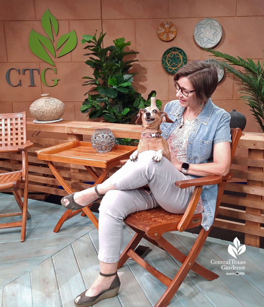 woman and smiling dog on CTG set 