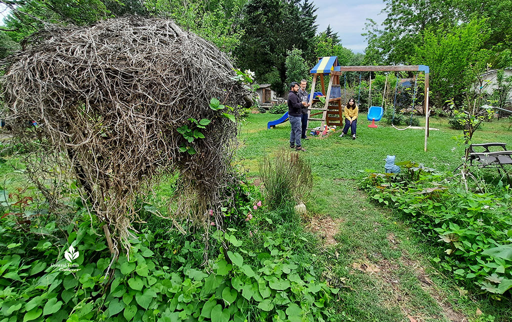 twig hut, lawn, swing set in backyard people talking