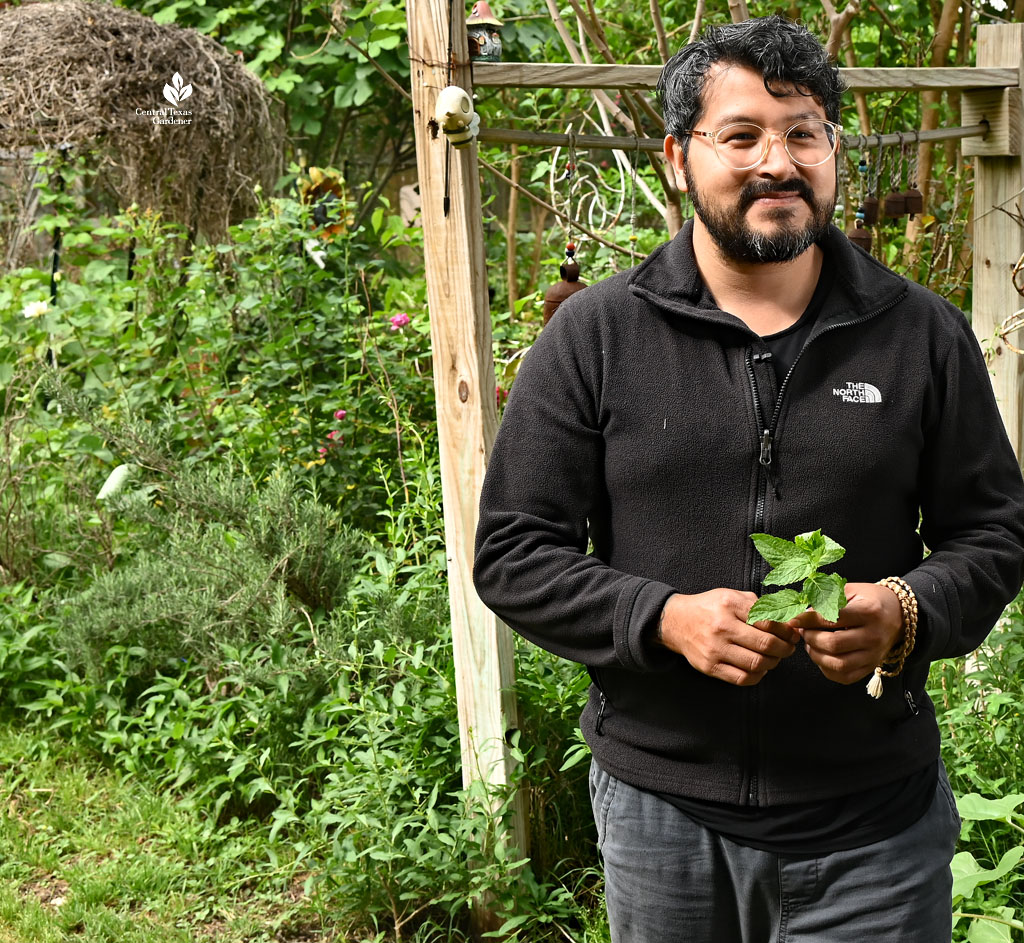 smiling man holding sprig of mint leaves in a garden