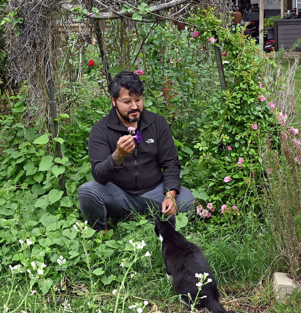 man in child-sized hut of broken branches; reaching out to pat cat