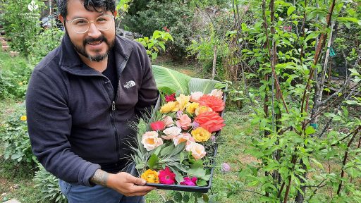 smiling man holding a try of rose flowers of all different colors