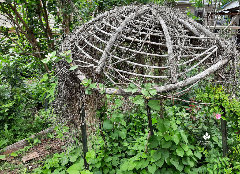 woven branch and twig top of kid hut 