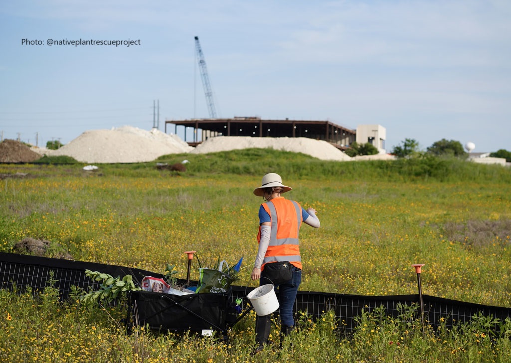 woman in field of flowers  with cart and tools; construction crane in background