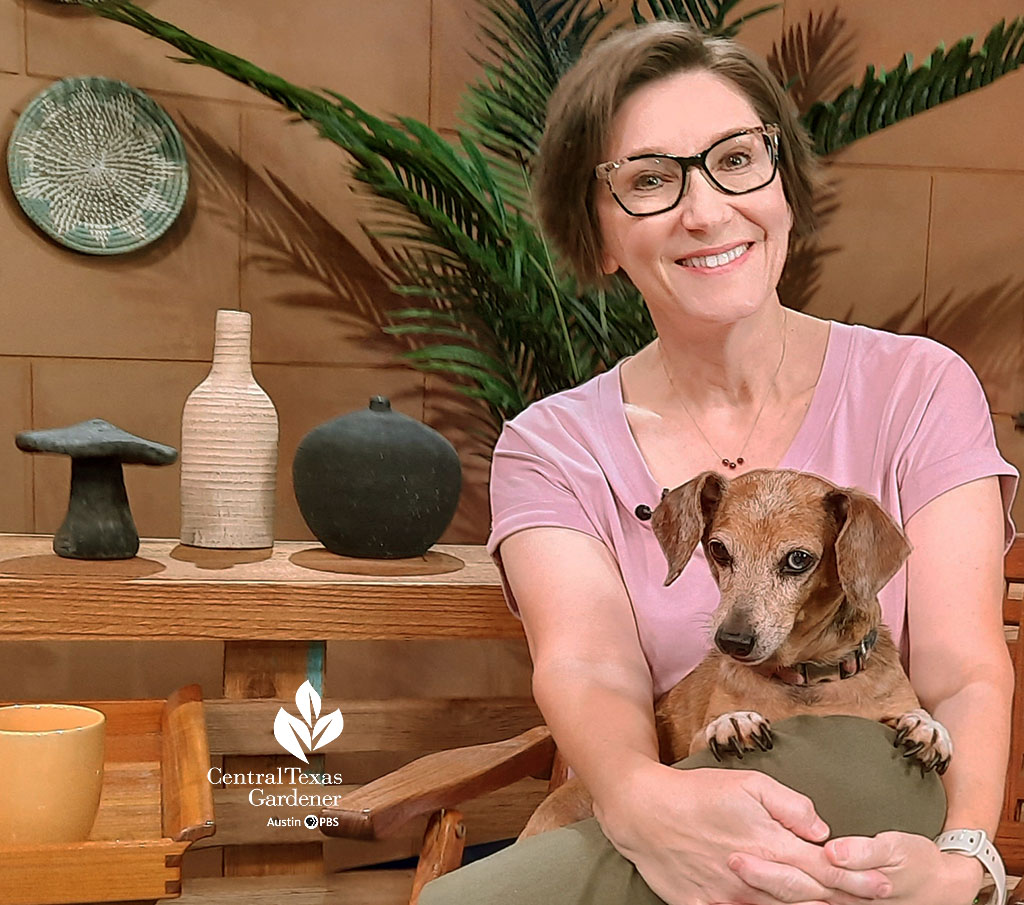 smiling woman with dachshund