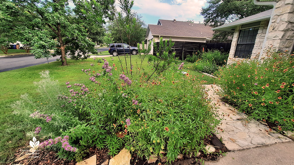 flower-filled garden bed to lawn and shade tree
