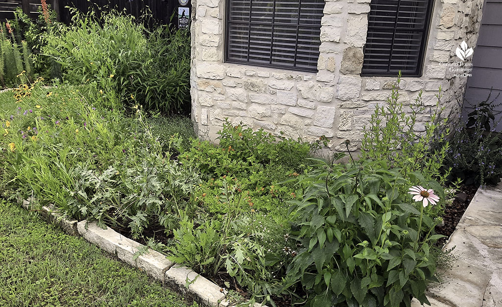 flower bed of many perennials against a house