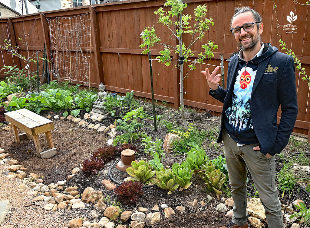 man in side yard garden with fruit trees and vegetables 