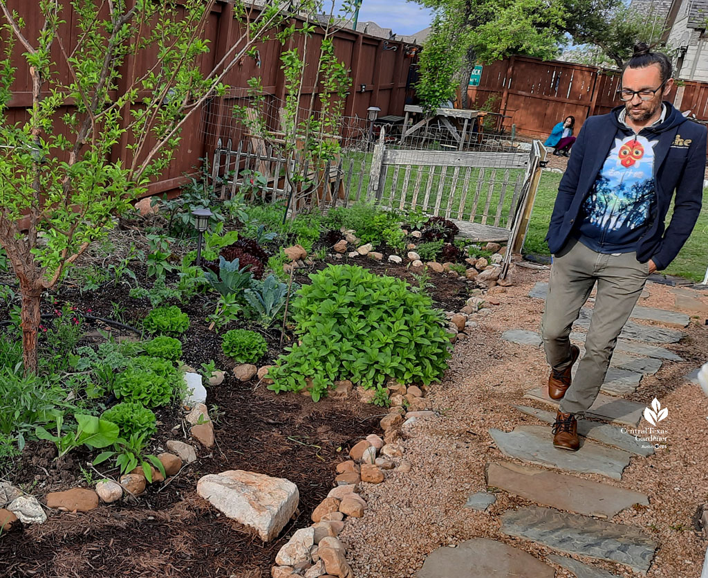 man walking narrow path of granite and flagstones against fruit trees and vegetable
