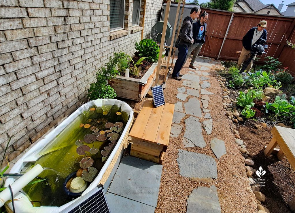 aquaponics tub with small solar panel and raised wicking bed beyond 