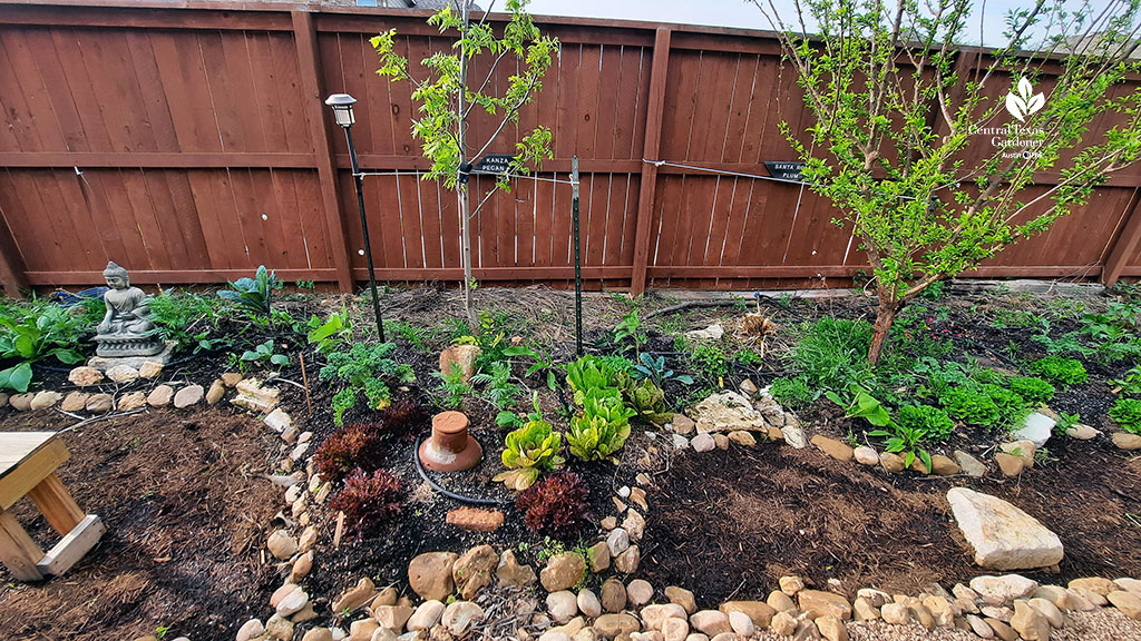 higher berms of soil and strips for water flow (swales) with fruit trees and vegetables 