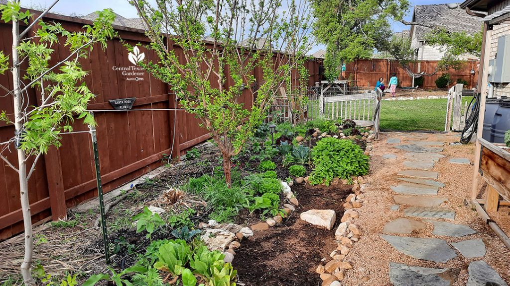 berms and swales with fruit trees and vegetables
