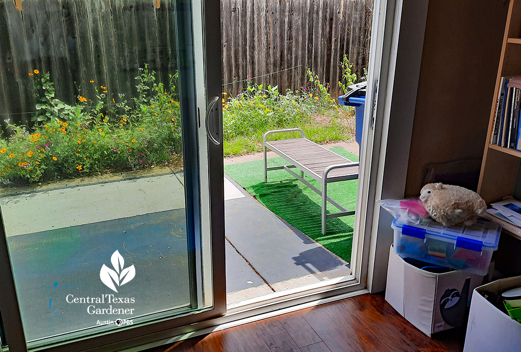 wildflowers along fence viewed from sliding glass door inside