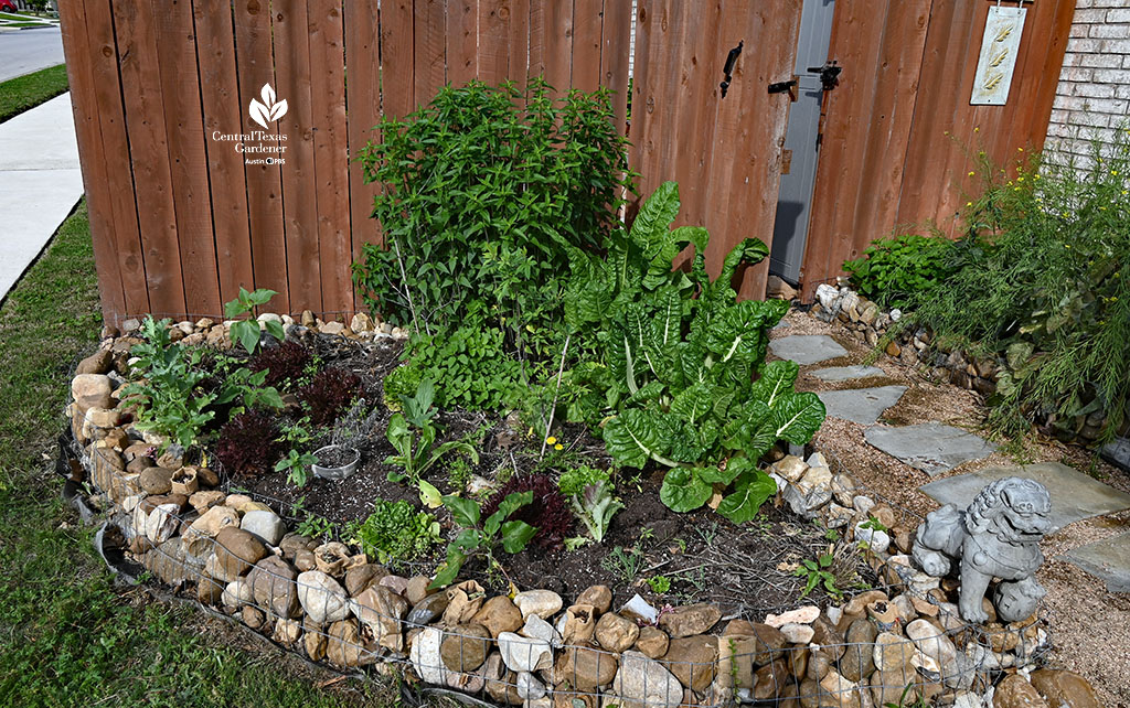 small bed against front yard fence bordered by rocks bound with wire