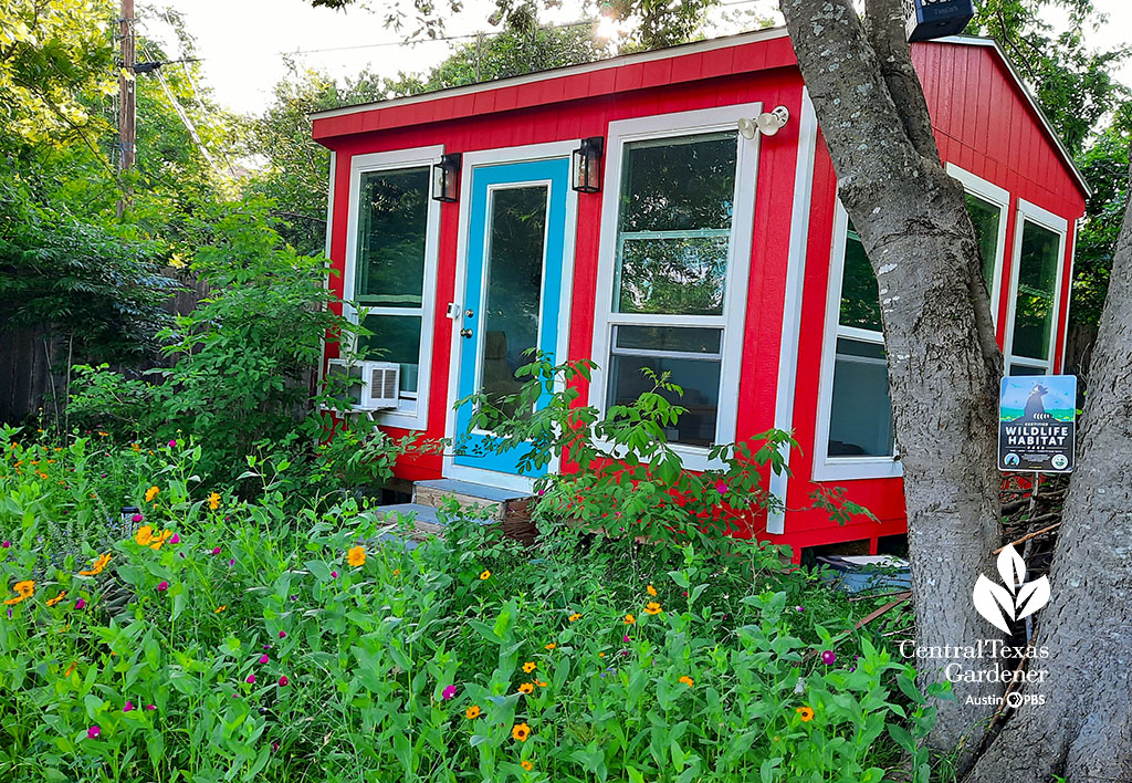 wildflowers around red, white, and blue shed: Wildlife Habitat sign in tree