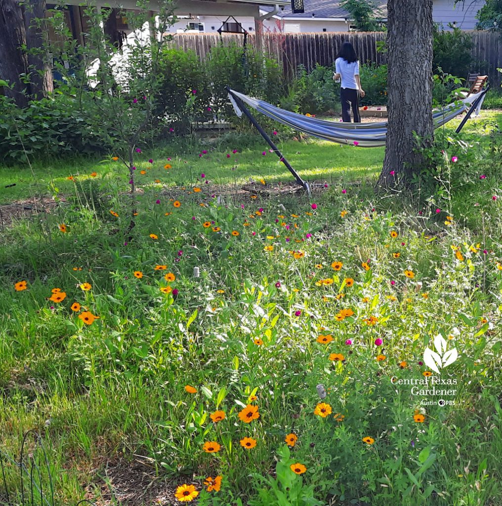 wildflowers to view of hammock and woman standing in the garden