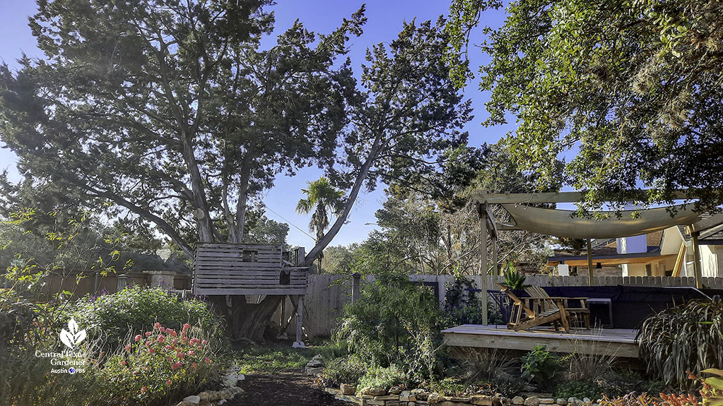 tall tree with treehouse overlooking wide mulch path bordered by flower-filled beds and a wood deck 