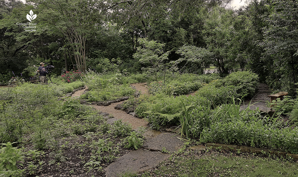 formal native plant gardens with gravel paths