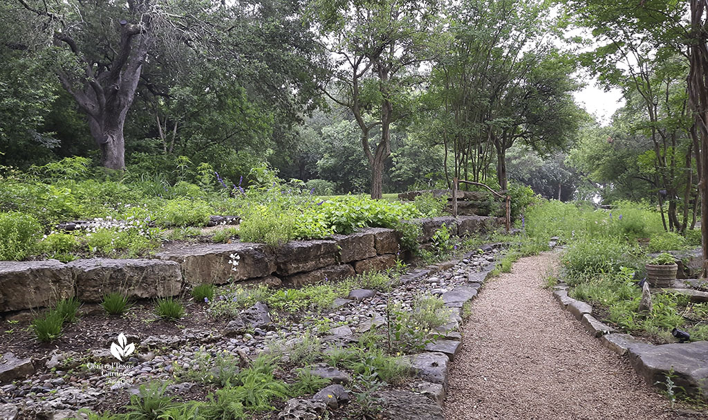 stone walls and native plants against dry creek bed and gravel path