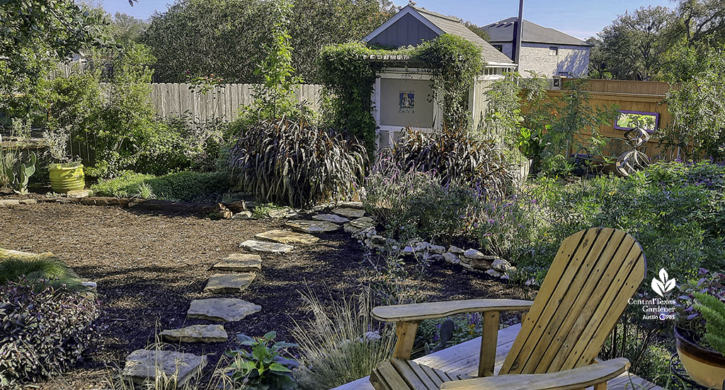 flagstone path on mulch to vine-covered shed bordered by purple fountain grass