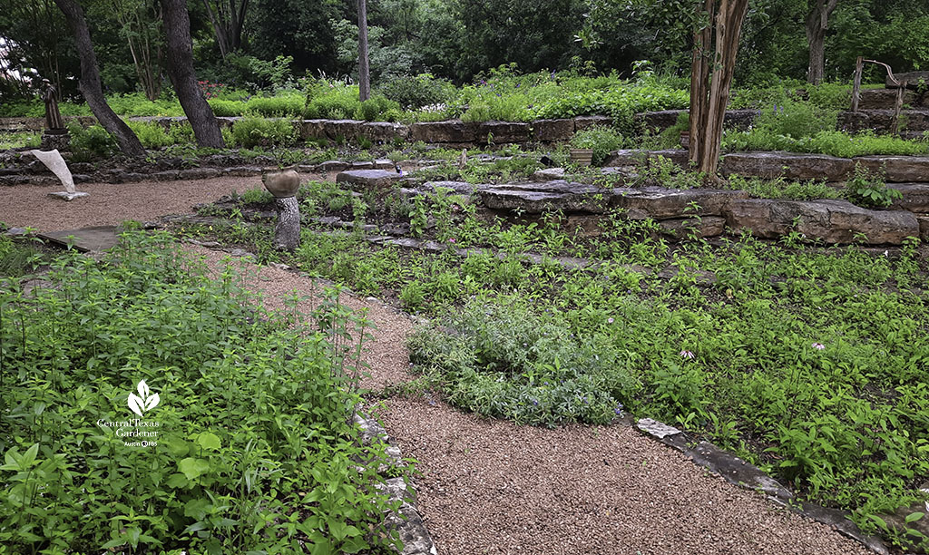 gravel path against native plants and native stone retaining wall