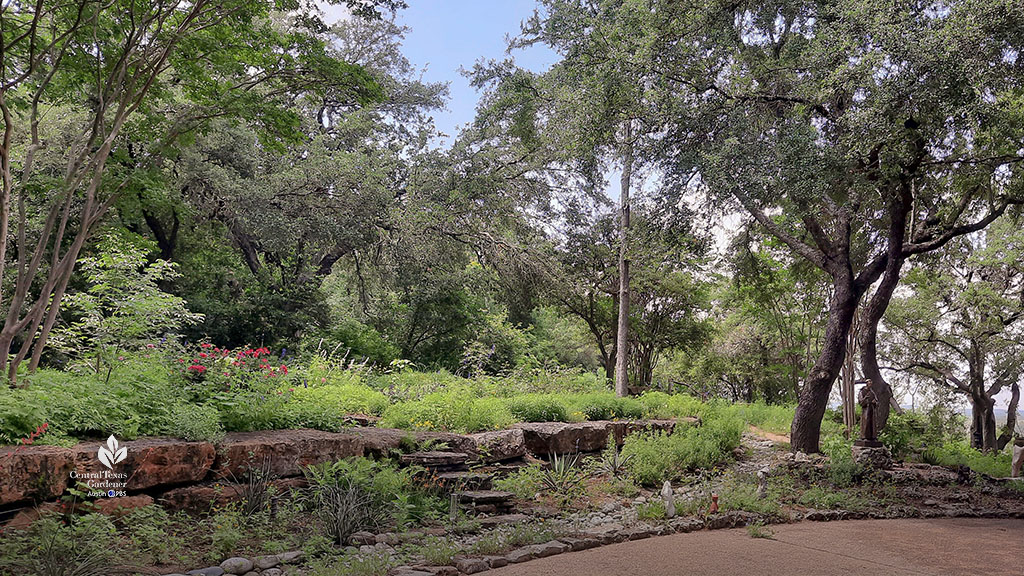 live oak trees against native stone walls framed with plants 