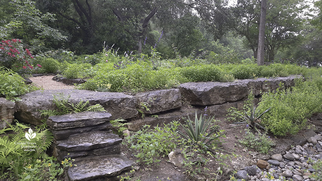 native stone walls and steps framed by plants 