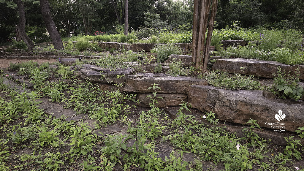 native plants against stone rustic stone walls