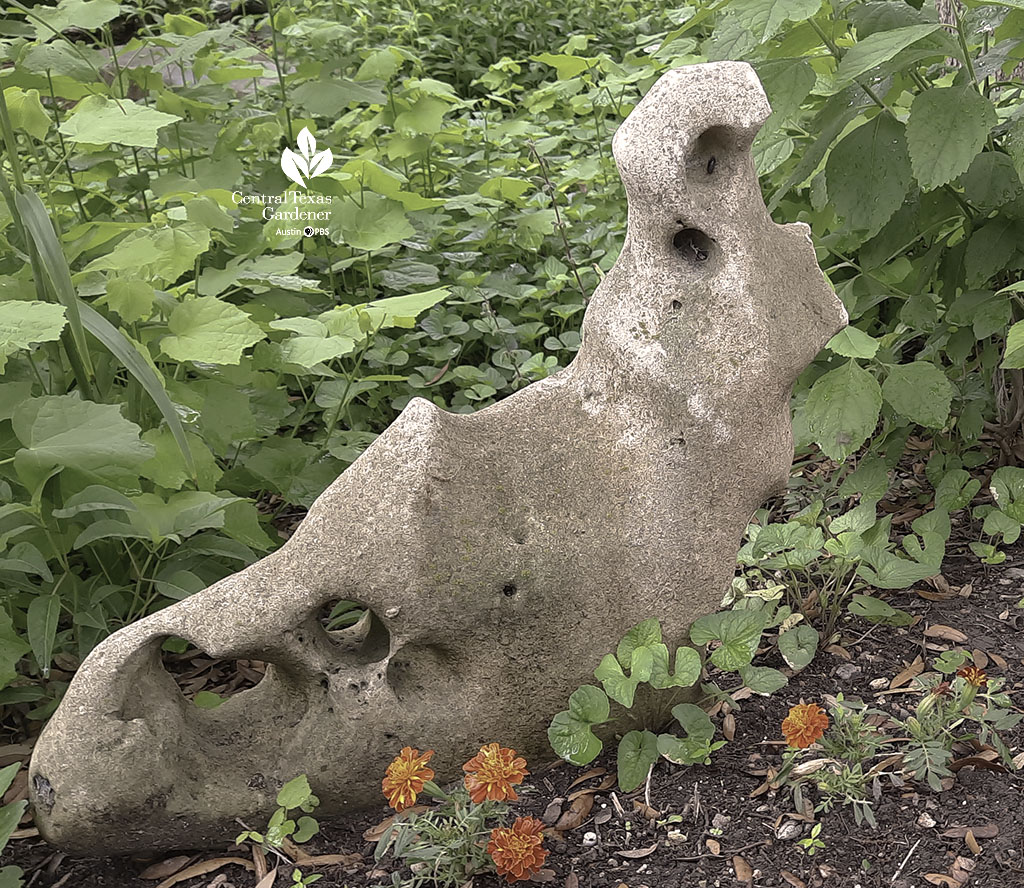 limestone with eroded pockets to resemble an animal or character