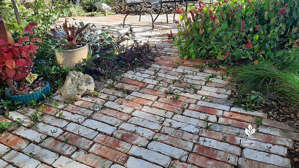 used bricks in diagonal pattern for patio 