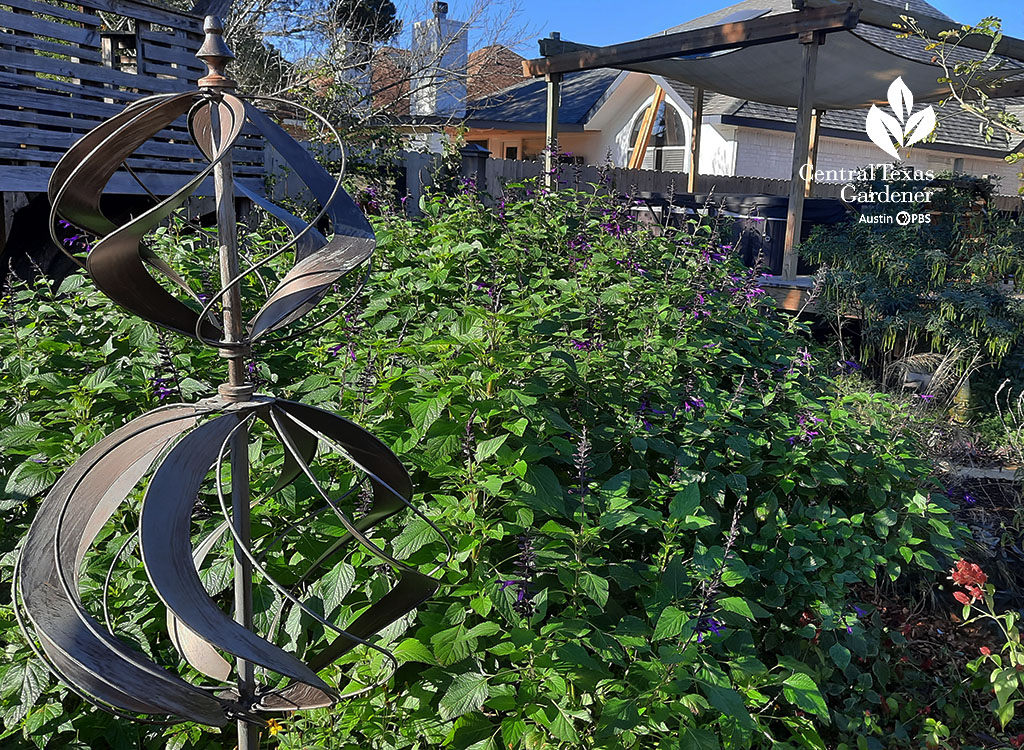 metal spinner (whirlagig) next to purple-flowering plant 