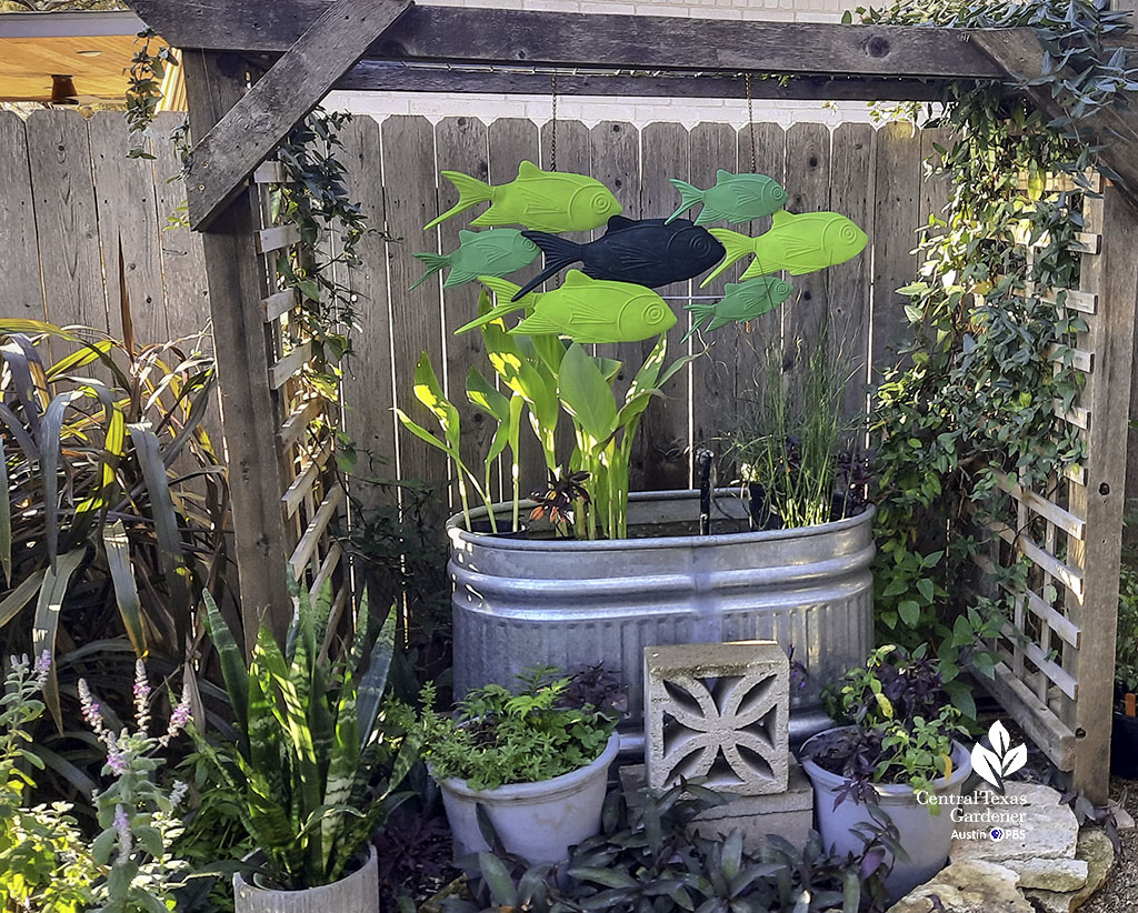 small galvanized stock tank pond with plants set under wood arbor and ornamented with swimming fish mobile 