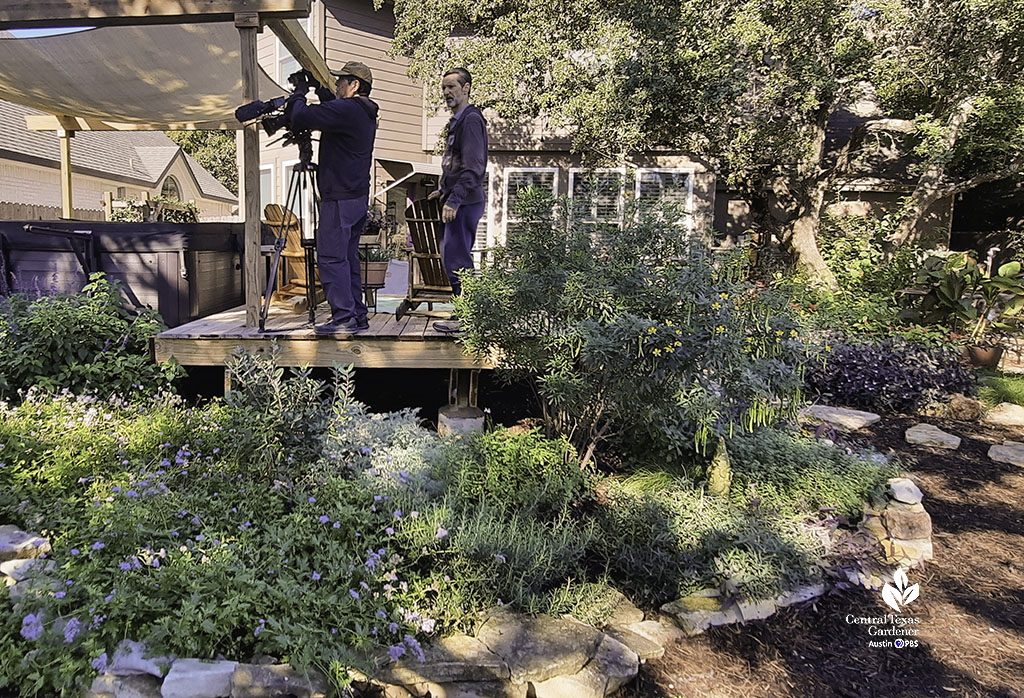 stone bordered flower bed against backyard deck; camera operator and assistant standing on it to record garden footage