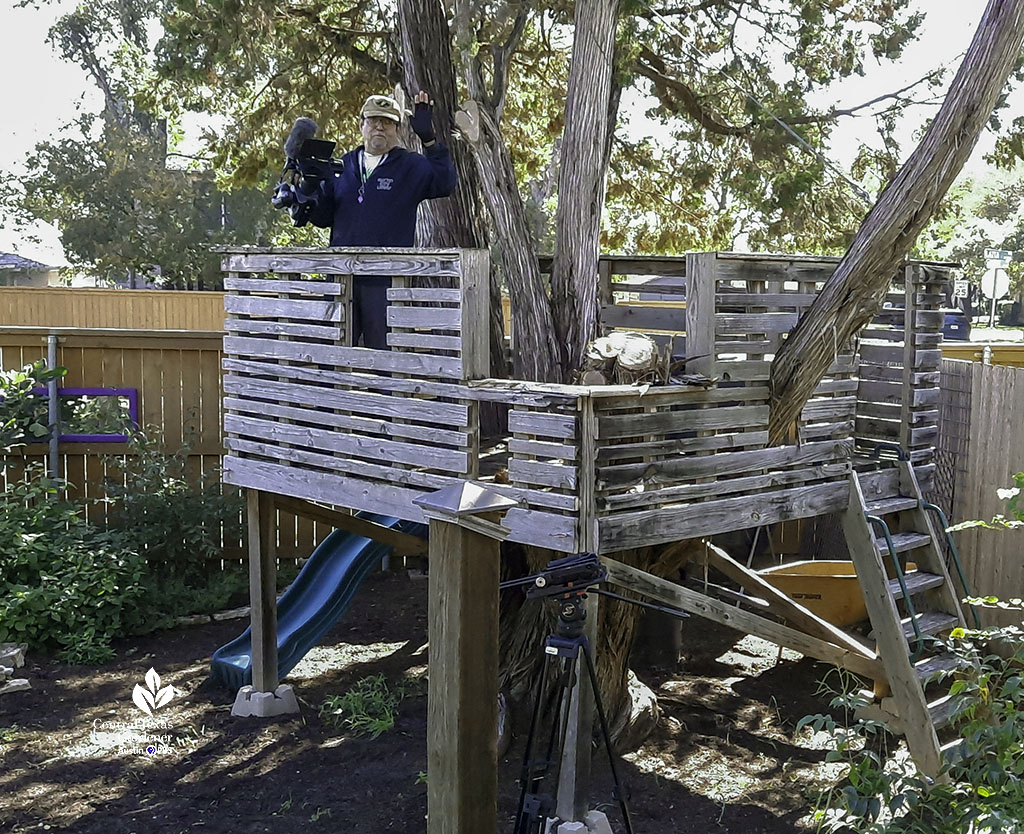 man with camera waving from treehouse 