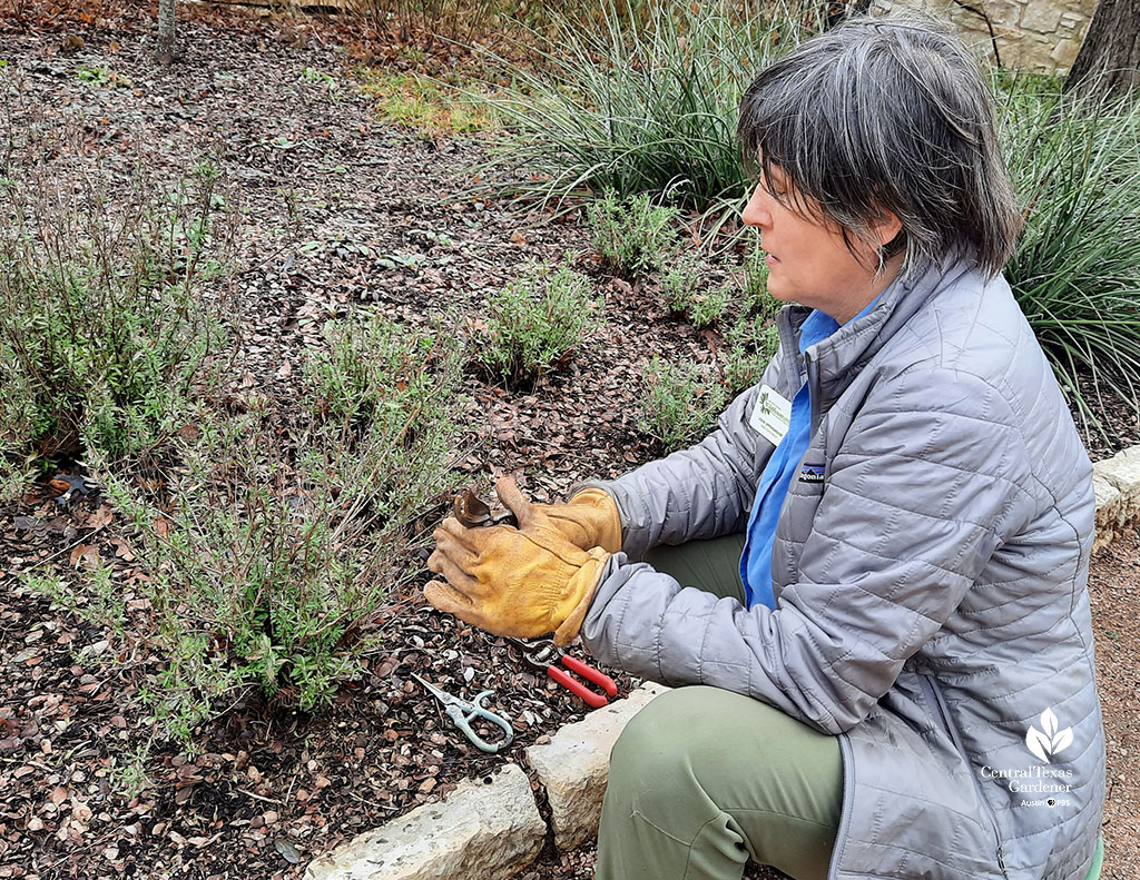 woman sitting on short stool in garden holding pruners in front of plant