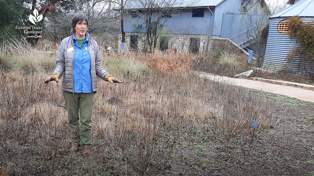 woman in a meadow of winter brown and rust-colored grasses